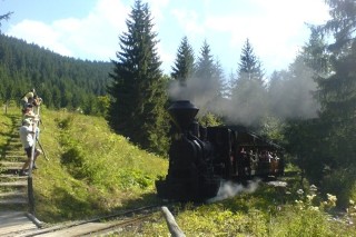 <unitname id="U3842" class="1316w0 13162w0 32751311w0 S221w0 S229w0" ioscontenttitle="true">Narrow Gauge Forest Railway,