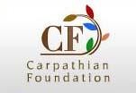 CF - logo