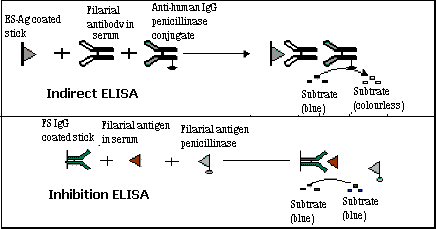 ELISA