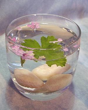 Glass of Cosmetic Rose Geranium Water