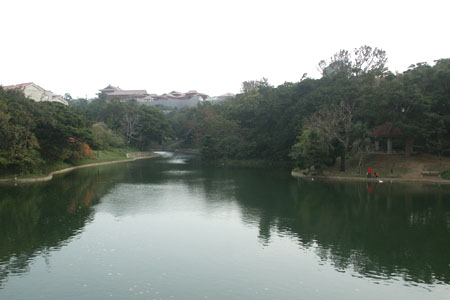 Sonohyan Utaki sacred grove